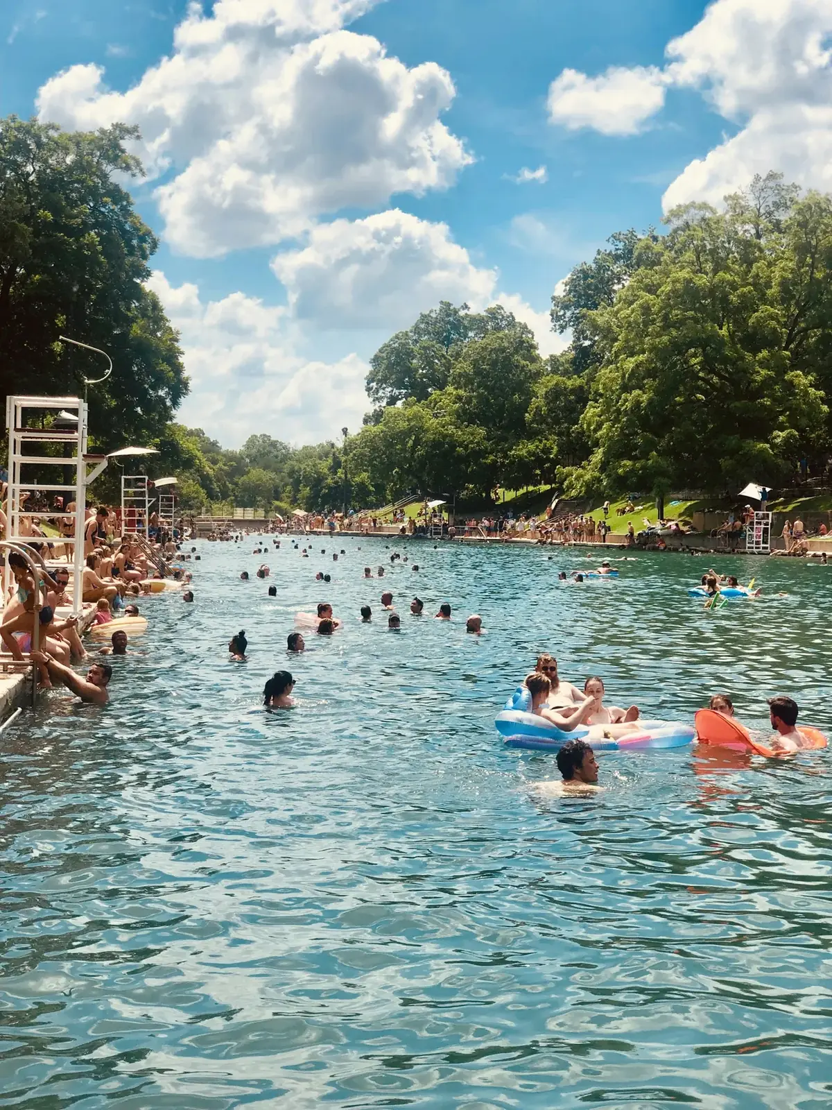 Swimmers at Barton Springs Pool beneath a green tree canopy
